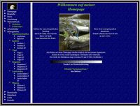 Homepage von ca. 2002 bis ca. 2007